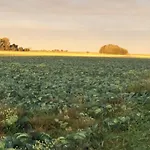 Traumwagen An Der Muehle *