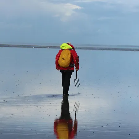 Traumwagen An Der Muehle Holiday home