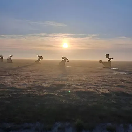 Traumwagen An Der Muehle Thalingburen