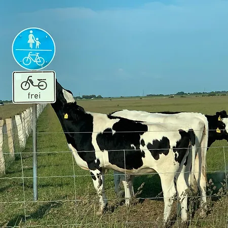 Traumwagen An Der Muehle