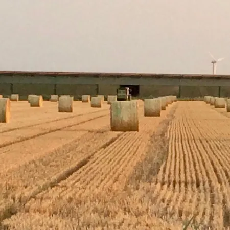 Traumwagen An Der Muehle *