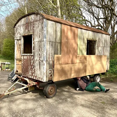 Feriehus Traumwagen An Der Muehle Thalingburen